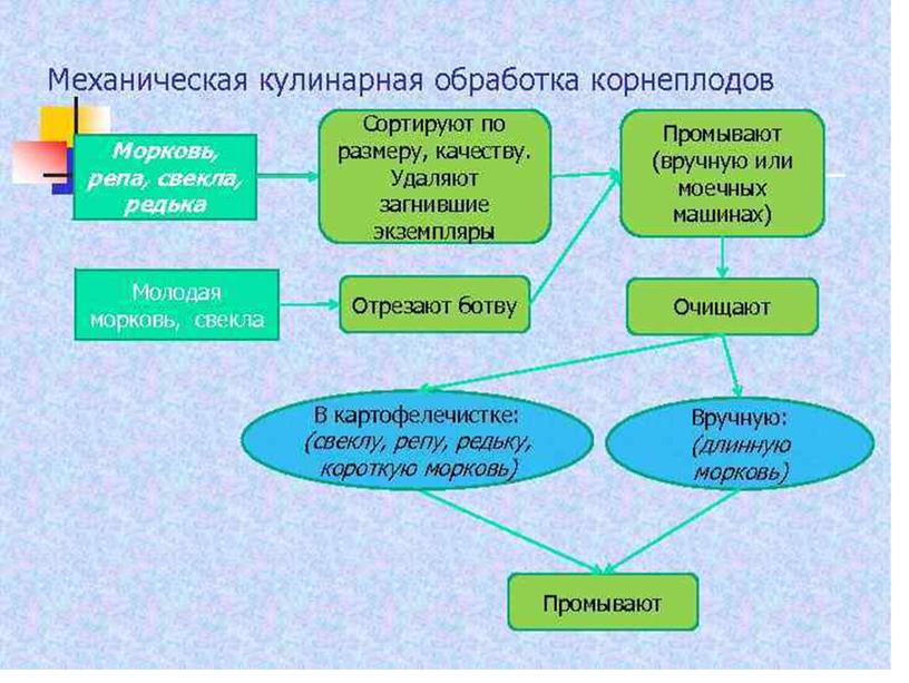 Механическая и кулинарная обработка корнеплодов и  клубнеплодов