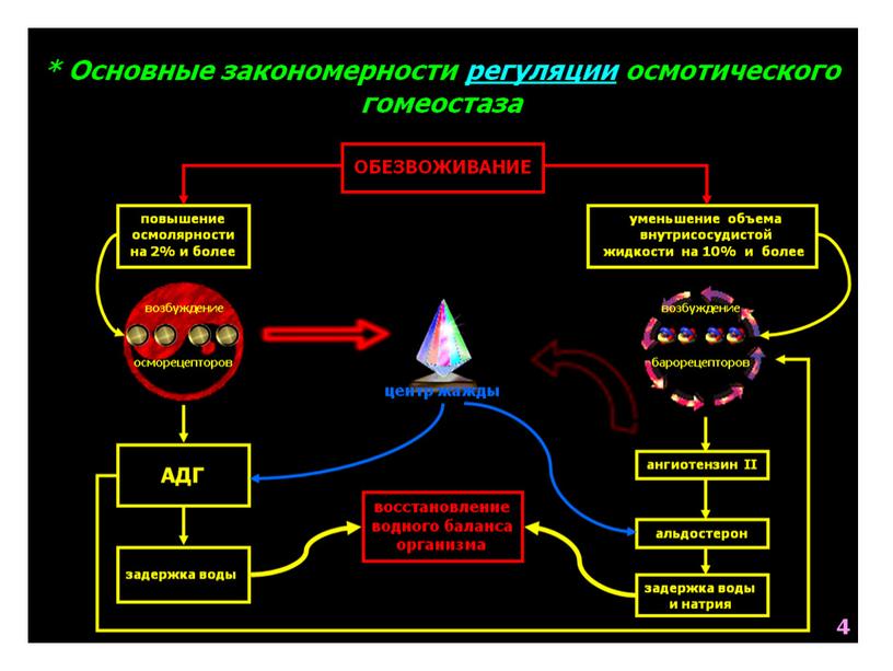 Схема нарушения гомеостаза при различных терминальных состояниях