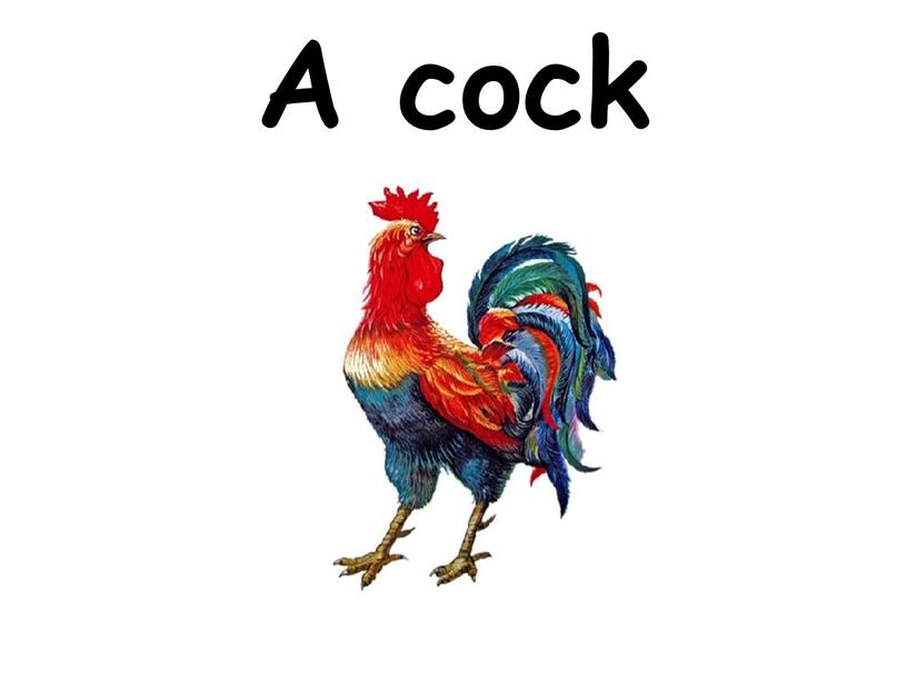 A cock