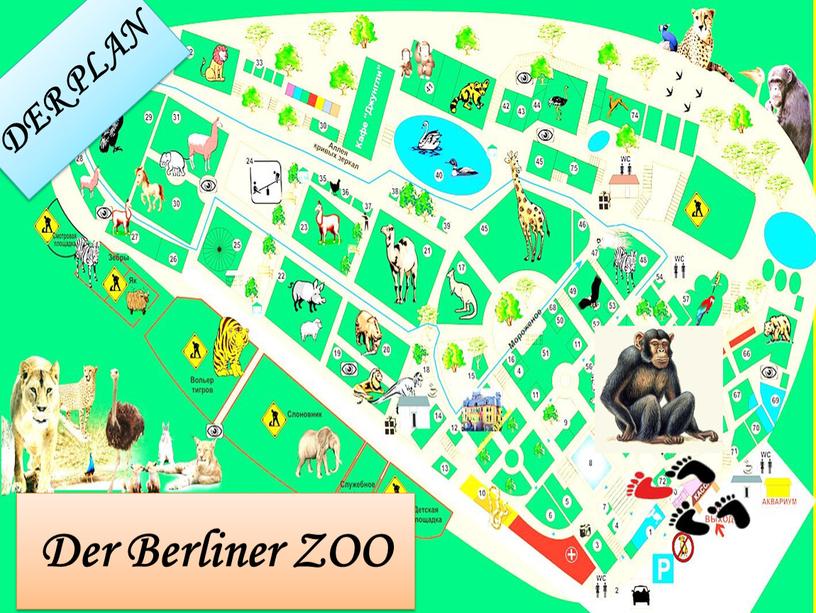 DER PLAN Der Berliner ZOO