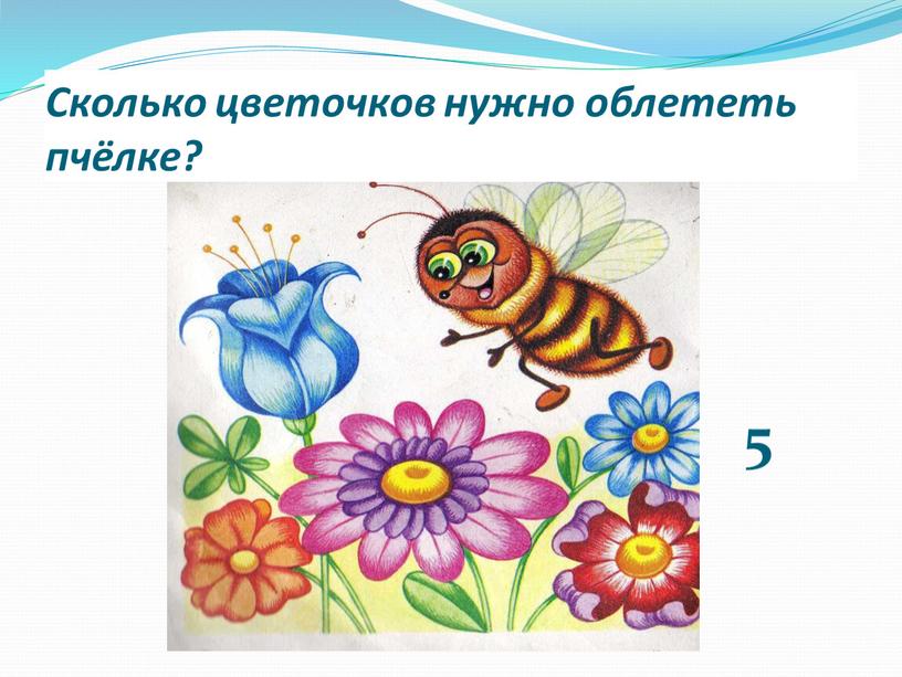 Сколько цветочков нужно облететь пчёлке? 5