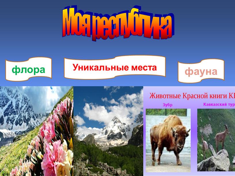 Моя республика флора фауна Уникальные места