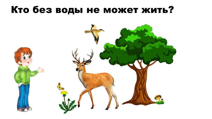 Кто без воды не может жить?