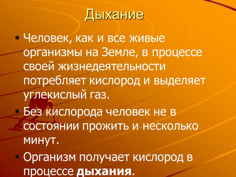 Дыхание Человек, как и все живые организмы на