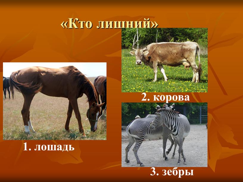 Кто лишний» 1. лошадь 2. корова 3