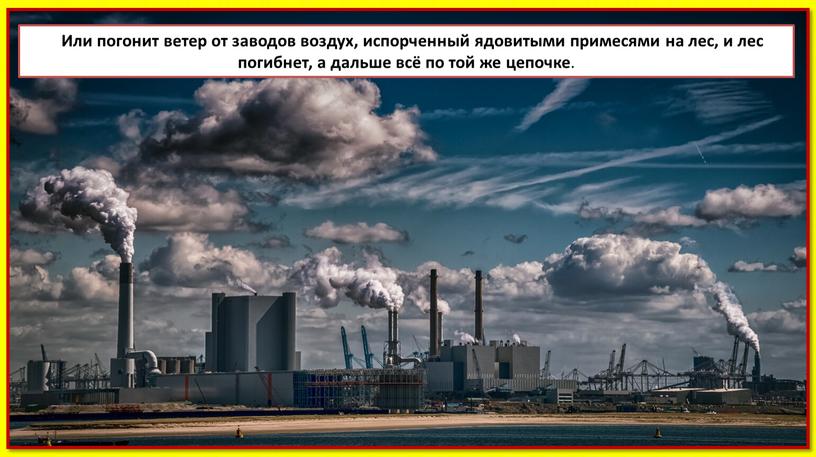 Или погонит ветер от заводов воздух, испорченный ядовитыми примесями на лес, и лес погибнет, а дальше всё по той же цепочке