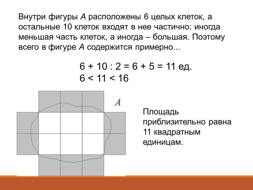 Внутри фигуры А расположены 6 целых клеток, а остальные 10 клеток входят в нее частично: иногда меньшая часть клеток, а иногда – большая