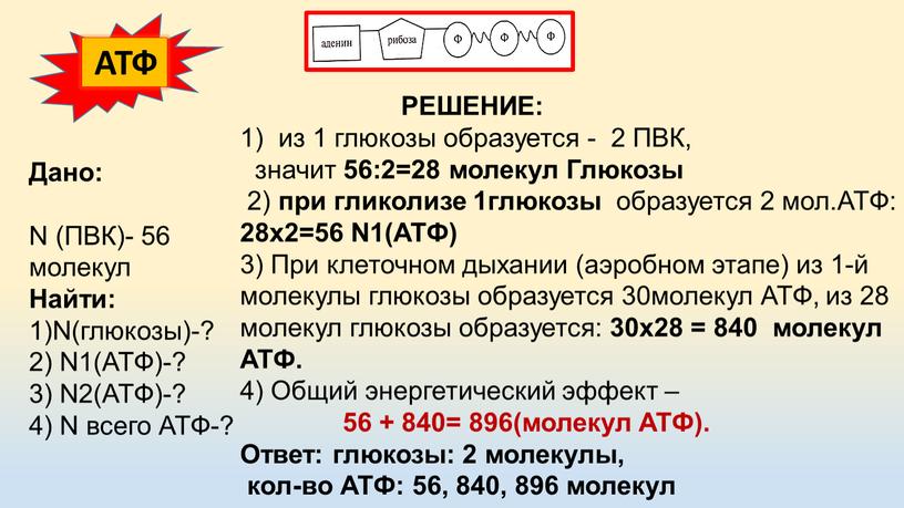 Дано: N (ПВК)- 56 молекул Найти: 1)N(глюкозы)-? 2)