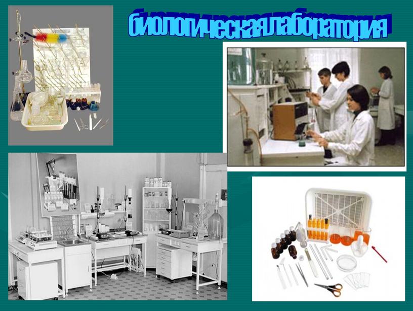 биологическая лаборатория