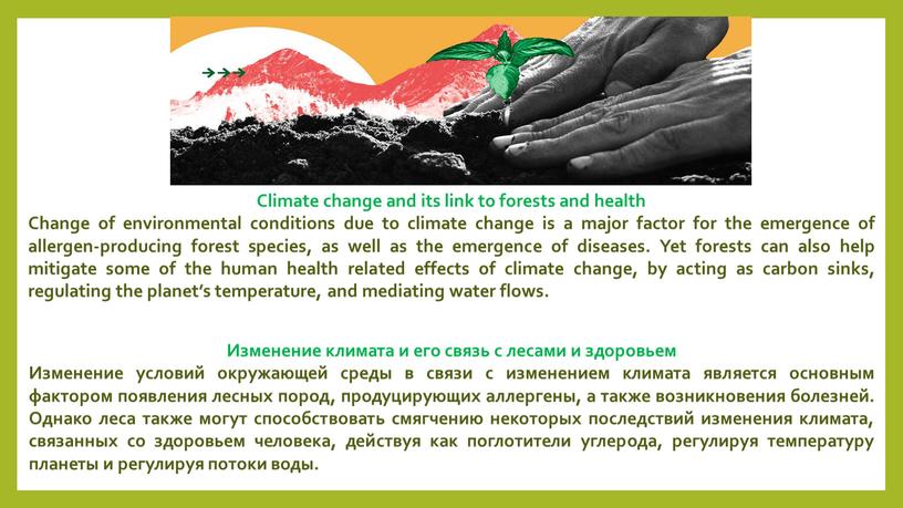 Изменение климата и его связь с лесами и здоровьем