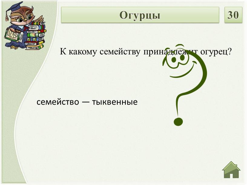 К какому семейству принадлежит огурец?