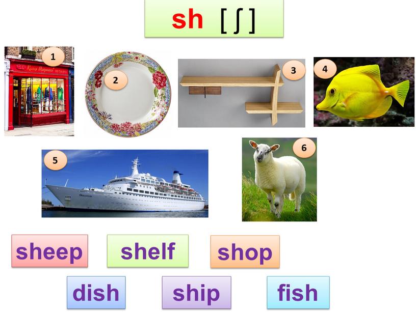 sh [ ʃ ] 1 2 3 4 5 6 shelf shop sheep dish ship fish