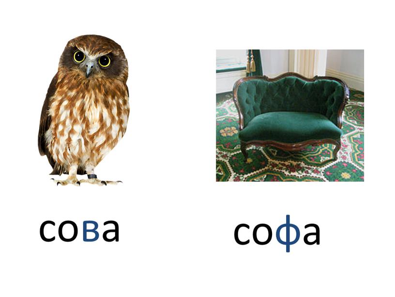 сова софа