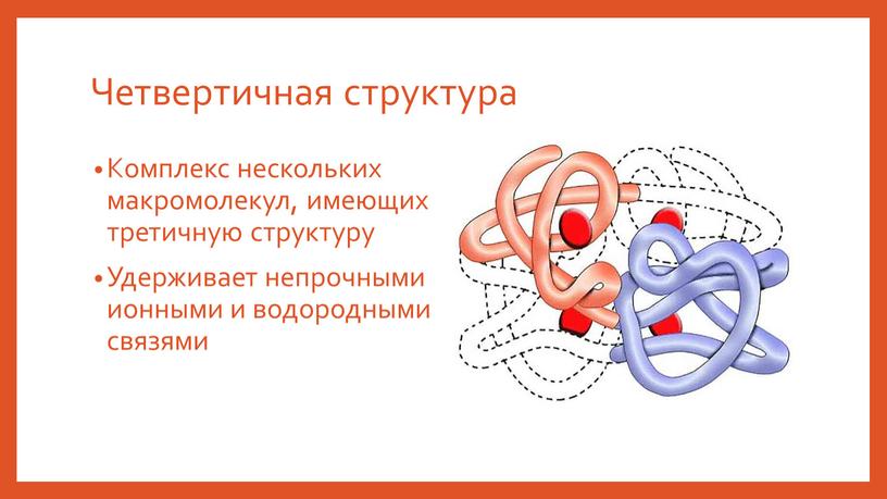 Четвертичная структура Комплекс нескольких макромолекул, имеющих третичную структуру