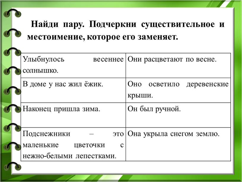 Найди пару. Подчеркни существительное и местоимение, которое его заменяет