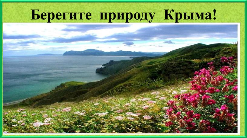 Берегите природу Крыма!