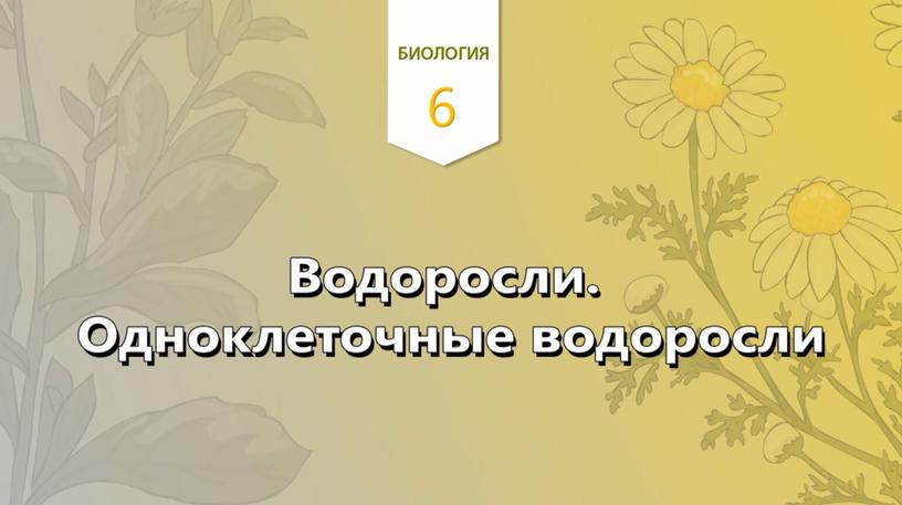 Презентация на тему "Водоросли"