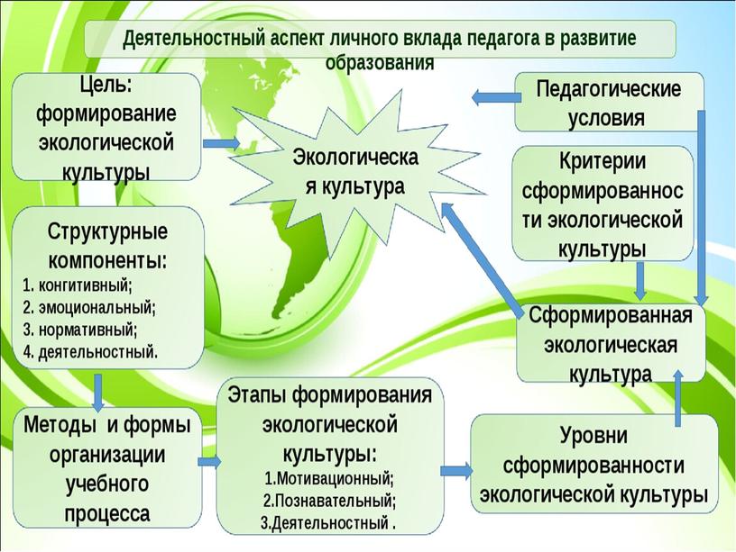 Практико-деятельностный компонент экологического воспитания обучающихся