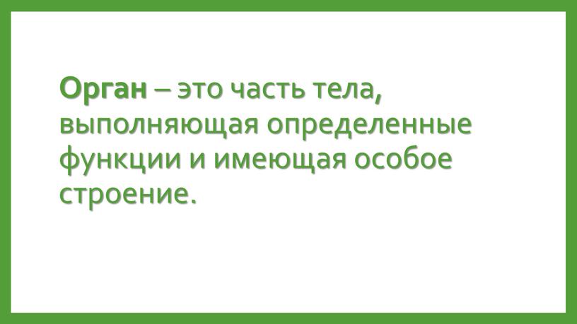 Орган – это часть тела, выполняющая определенные функции и имеющая особое строение