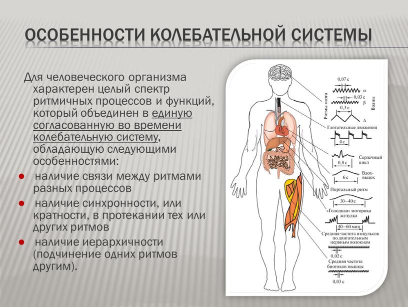 ОСОБЕННОСТИ КОЛЕБАТЕЛЬНОЙ СИСТЕМЫ