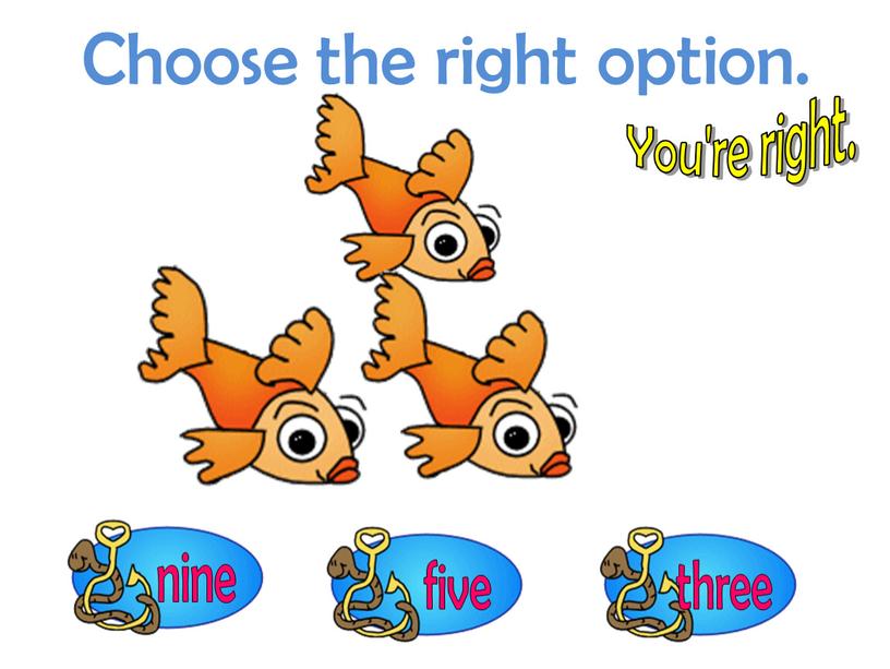 Choose the right option. You're right