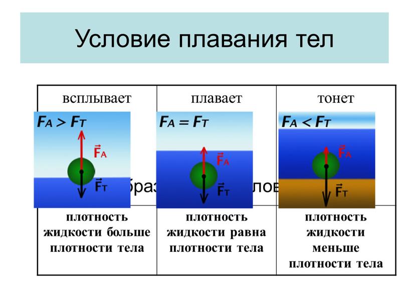 Условие плавания тел всплывает плавает тонет плотность жидкости больше плотности тела плотность жидкости равна плотности тела плотность жидкости меньше плотности тела