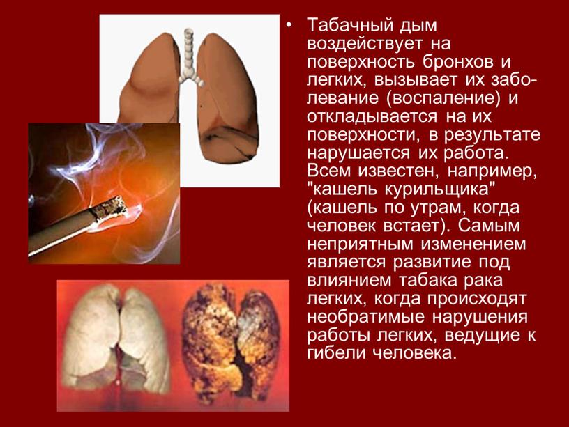 Табачный дым воздействует на поверхность бронхов и легких, вызывает их забо­левание (воспаление) и откладывается на их поверхности, в результате нарушается их работа