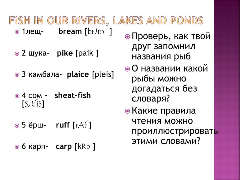 FISH IN OUR RIVERS, LAKES AND PONDS 1лещ- bream [brJm ] 2 щука- pike [paik ] 3 камбала- plaice [pleis] 4 сом – sheat-fish [SJtfiS]…