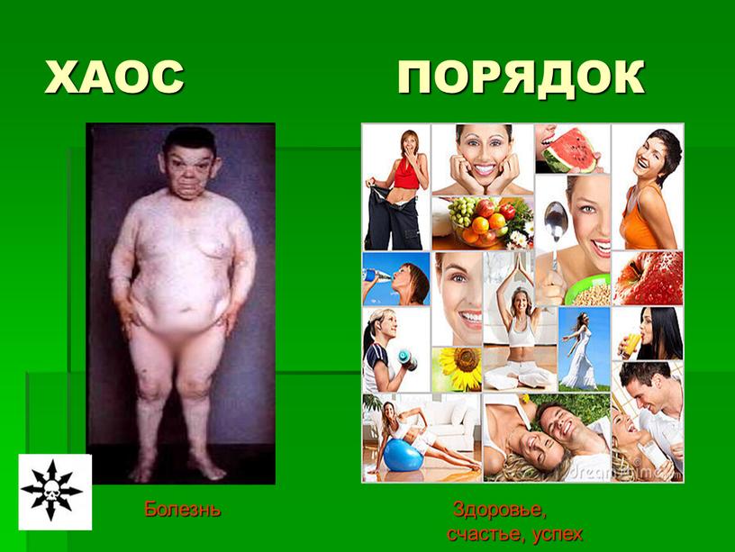 ХАОС ПОРЯДОК