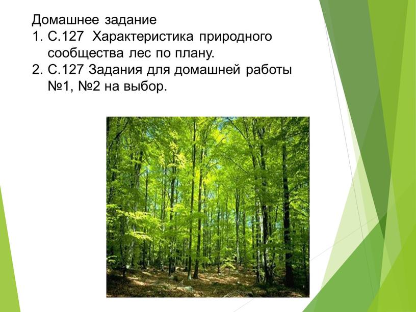 Домашнее задание С.127 Характеристика природного сообщества лес по плану