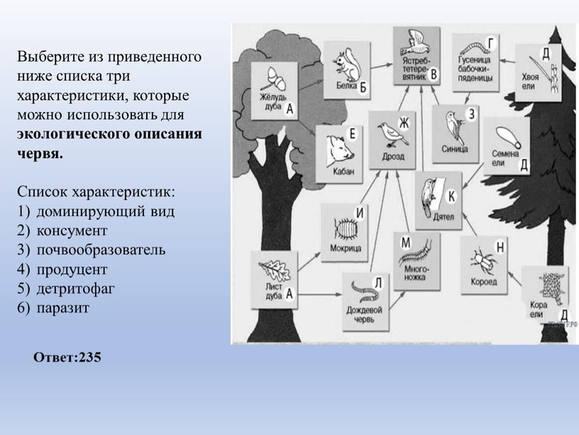 Выберите из приведенного ниже списка три характеристики, которые можно использовать для экологического описания червя