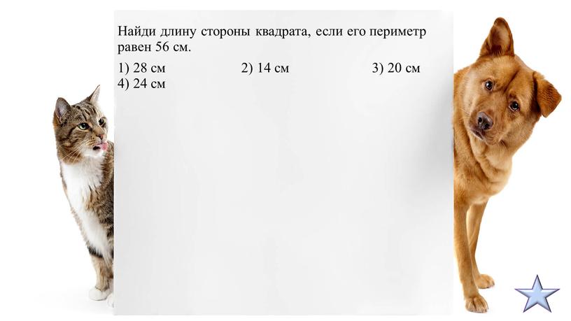 Найди длину стороны квадрата, если его периметр равен 56 см