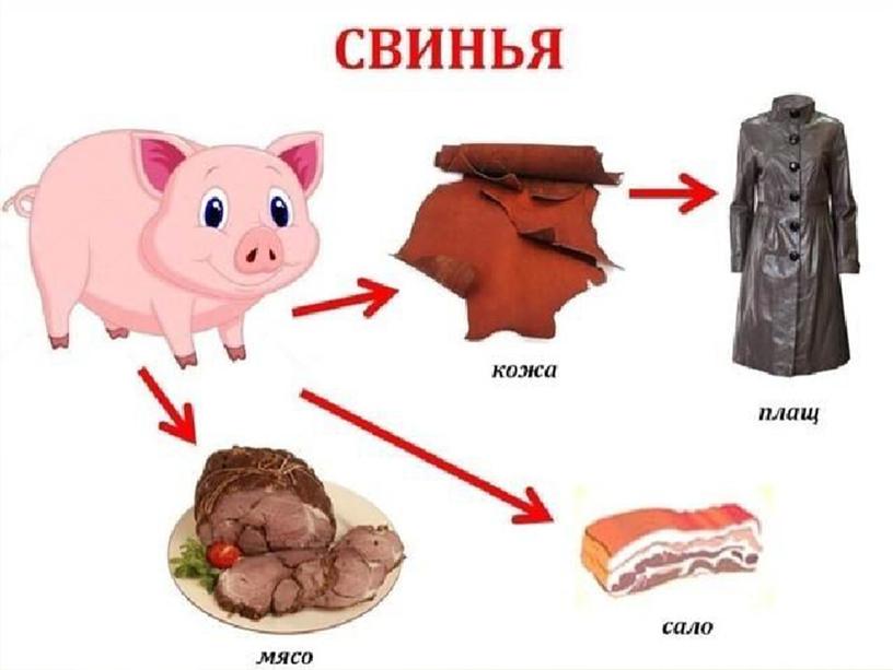 "Домашние животные:корова, свинья,кот, собака"