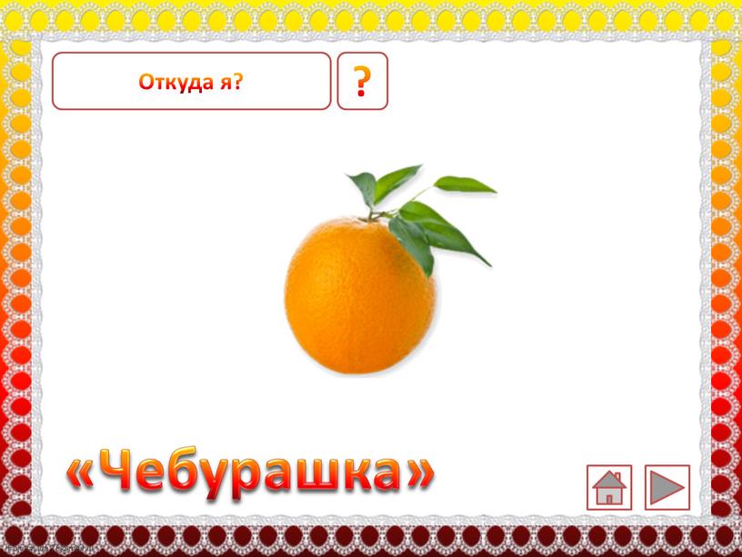 ? «Чебурашка» Откуда я?