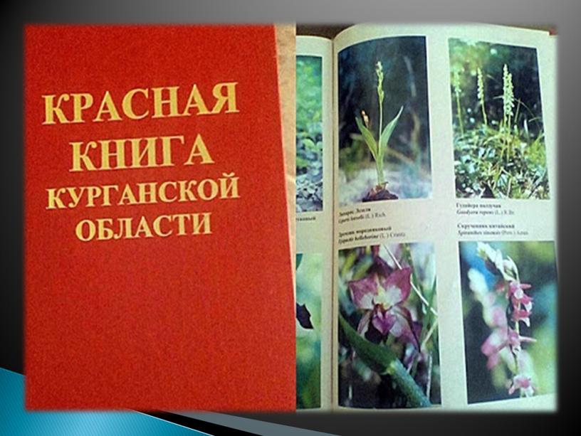 Презентация "По страницам Красной книги Курганской области"