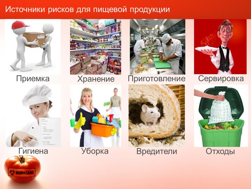 Источники рисков для пищевой продукции