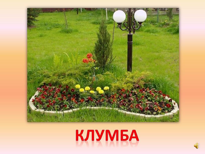 клумба