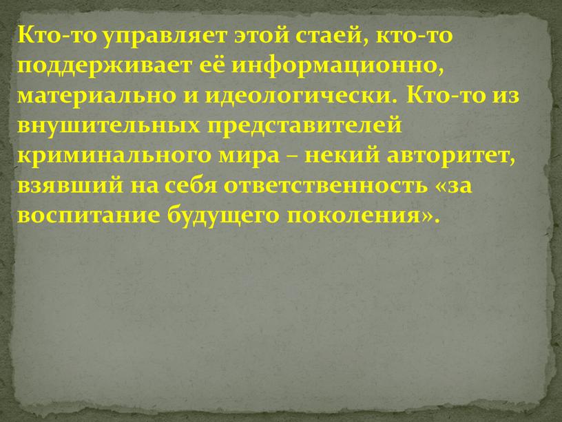 Кто-то управляет этой стаей, кто-то поддерживает её информационно, материально и идеологически