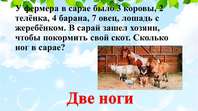 У фермера в сарае было 3 коровы, 2 телёнка, 4 барана, 7 овец, лошадь с жеребёнком