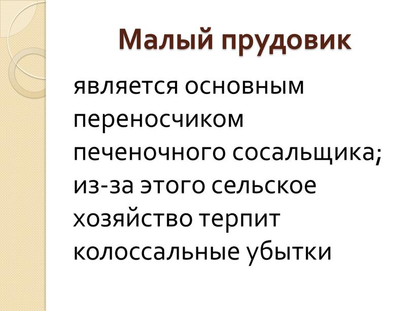 Малый прудовик является основным переносчиком печеночного сосальщика; из-за этого сельское хозяйство терпит колоссальные убытки