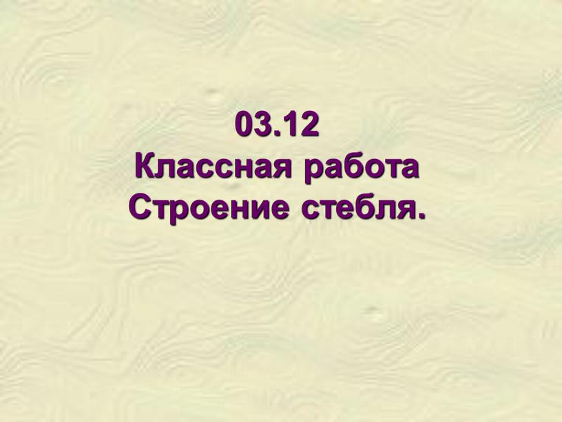 Классная работа Строение стебля