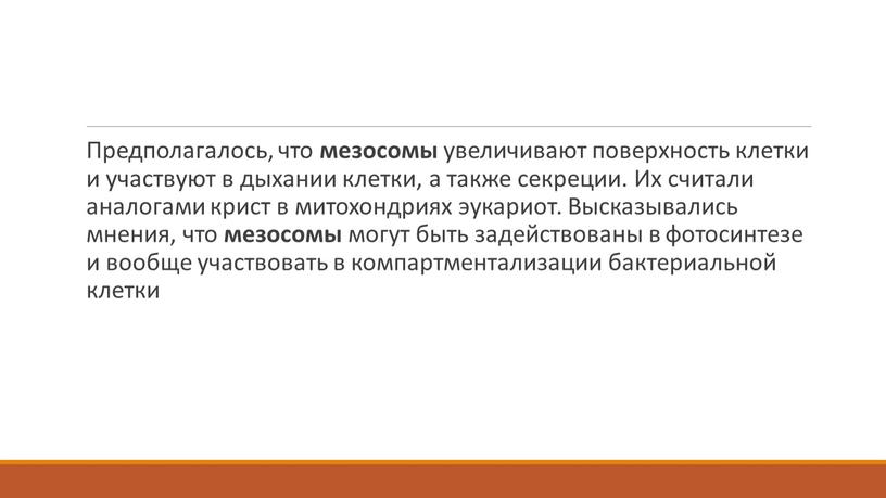 Предполагалось, что мезосомы увеличивают поверхность клетки и участвуют в дыхании клетки, а также секреции