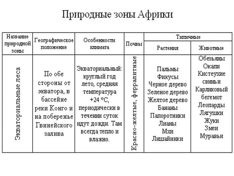 Презентация по теме: "Природные зоны Африки"