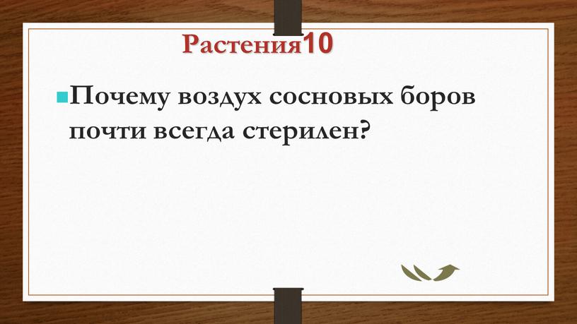 Растения10 Почему воздух сосновых боров почти всегда стерилен?