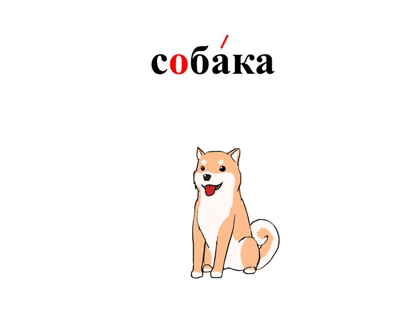 собака