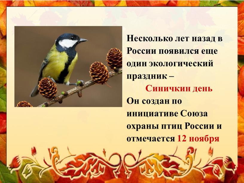 Несколько лет назад в России появился еще один экологический праздник –