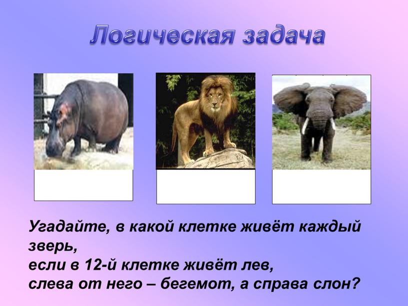 Угадайте, в какой клетке живёт каждый зверь, если в 12-й клетке живёт лев, слева от него – бегемот, а справа слон?