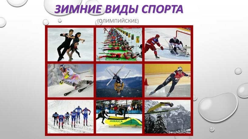 ЗИМНИЕ ВИДЫ СПОРТА (олимпийские)