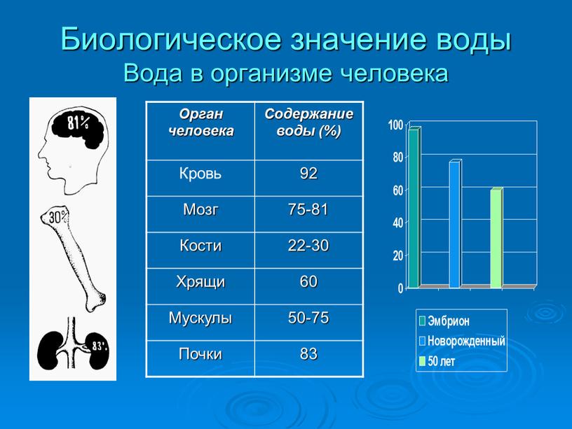 Биологическое значение воды Вода в организме человека