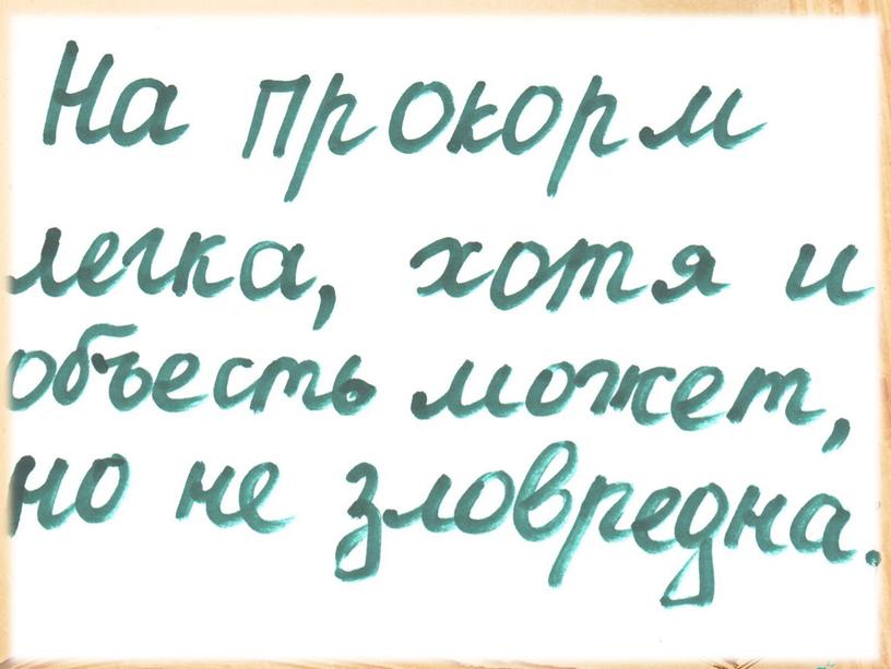 Презентация к мастер-классу "Технология смыслового чтения на уроках русского языка и литературы"